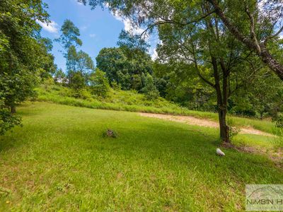 2210 Nimbin Road, Coffee Camp