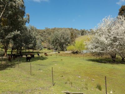 1950 Beechworth Road, Indigo Valley