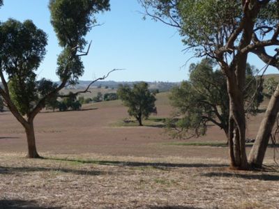 Boxwood Park Road, Bungowannah