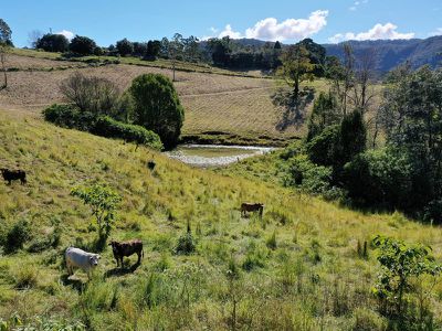 1242 Tuntable Creek Road, Nimbin