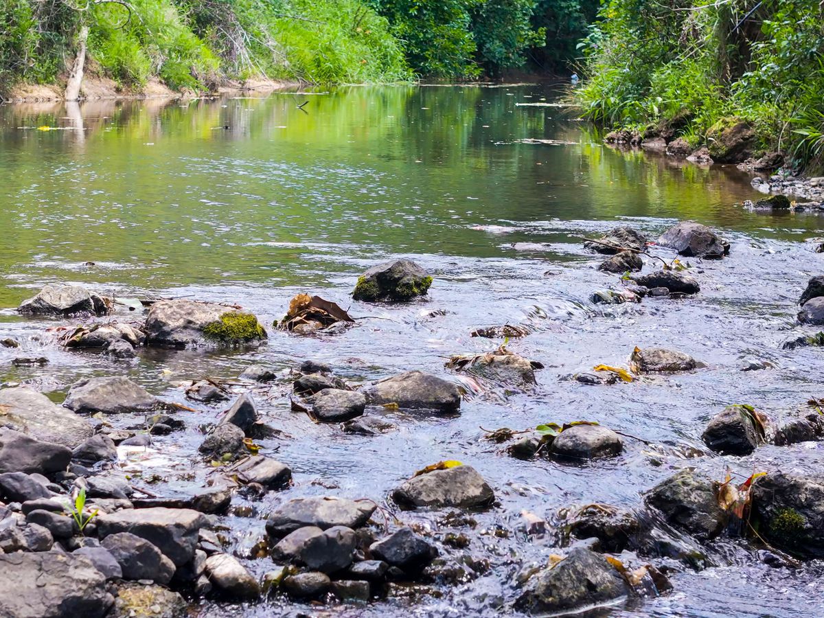 722 Main Arm Road, Main Arm