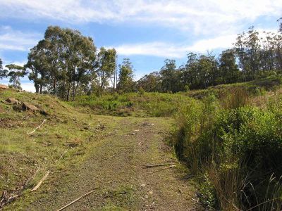 Lot 1 Cygnet Coast Road, Petcheys Bay