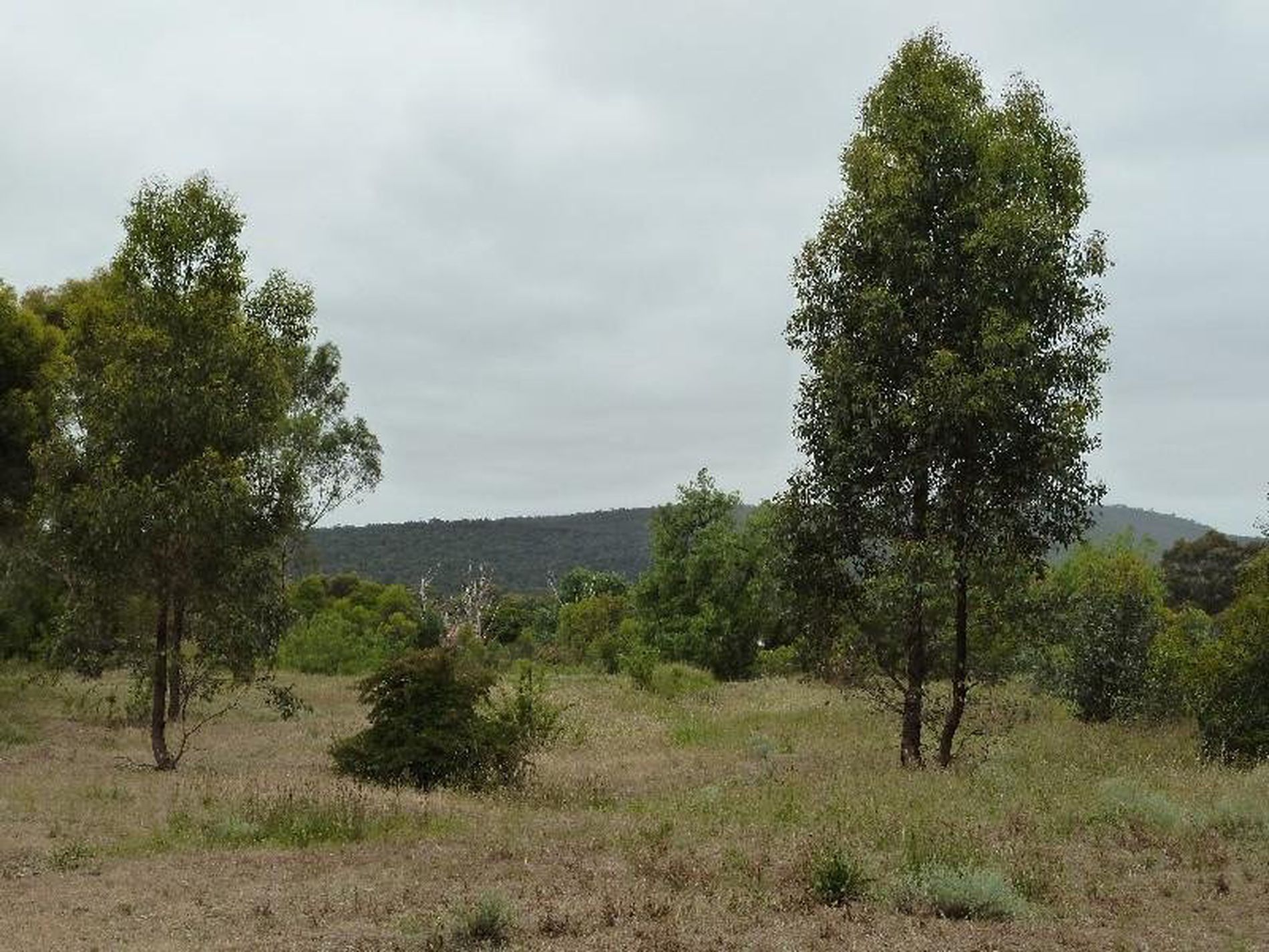 CA 8A CA 8A Back Kyneton Road, Heathcote