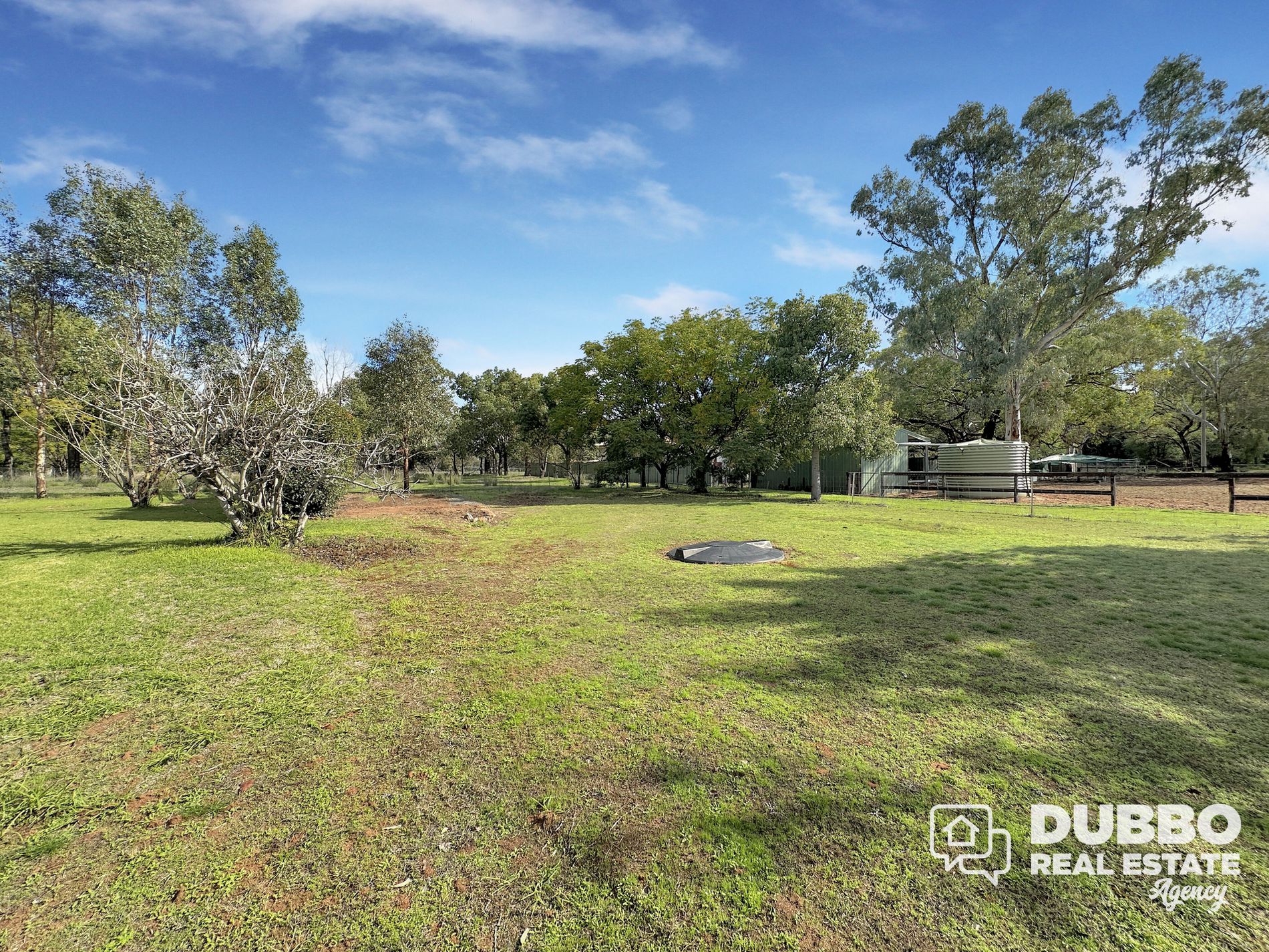 58 Nardoo Street, Ballimore
