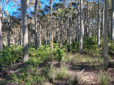 Lot 16, Mystery Bay Road, Mystery Bay
