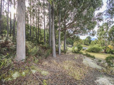 154 North Huon Rd, Ranelagh