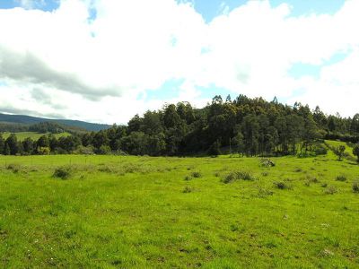 . Fourfoot Road, Geeveston