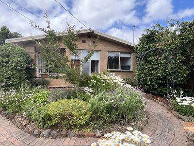 37 Sycamore Street, Hamlyn Heights