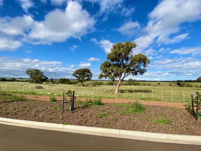 Lot 505, 39 Growth Drive, Weir Views