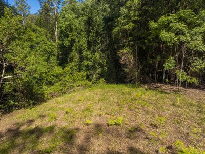 80 Robb Road, Lillian Rock