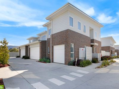 8 / 26 Avondale Road, Avondale