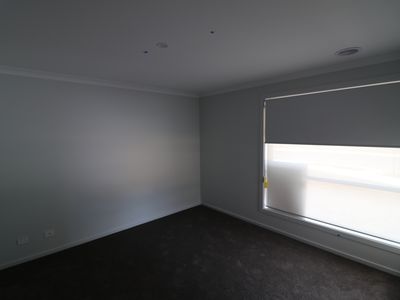 7 Pony Promenade, Seymour