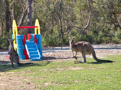 50 Tuart Close , Stake Hill