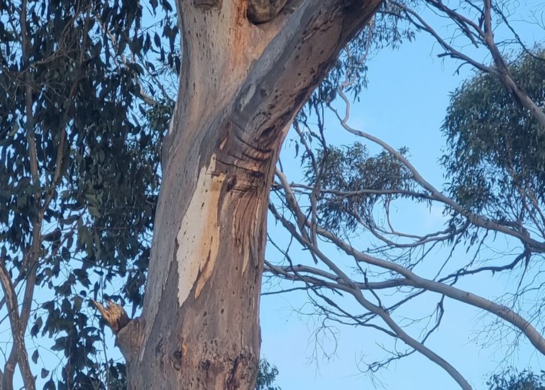 231 Golf Course Road, Heywood