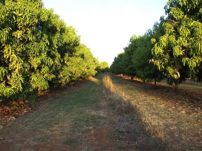 22 River Farm Road, Kununurra
