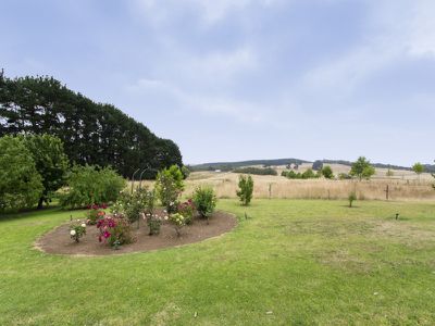 247 Mount Percy Road, Mount Gambier