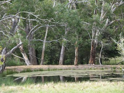 72 Shale Lane, High Range