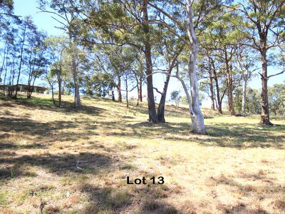 13 Timbertop Avenue, Forster