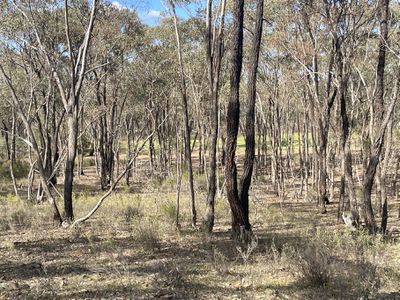 CA 37H Olympic Parade, Maiden Gully