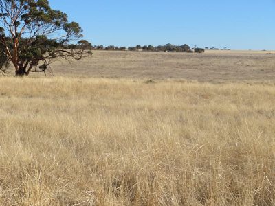 24804 / Mawson Doodenanning Road Balkuling, Quairading