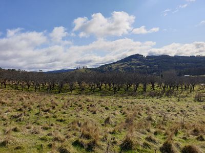 Lot 3 Scotts Road, Geeveston