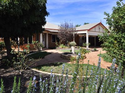 4 Seinor Street, Kalgoorlie