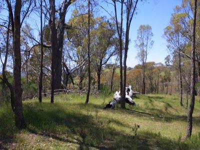 Lot 1 Bush Sanctuary Road, Chewton