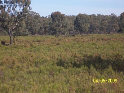 Willows Road, Murchison
