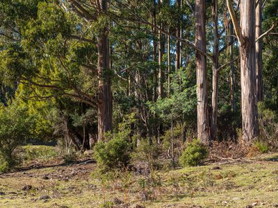 Lot 2 Sledge Hill Road , Glendevie