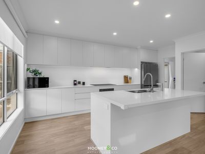 5 Sustain Circuit, Lyndhurst