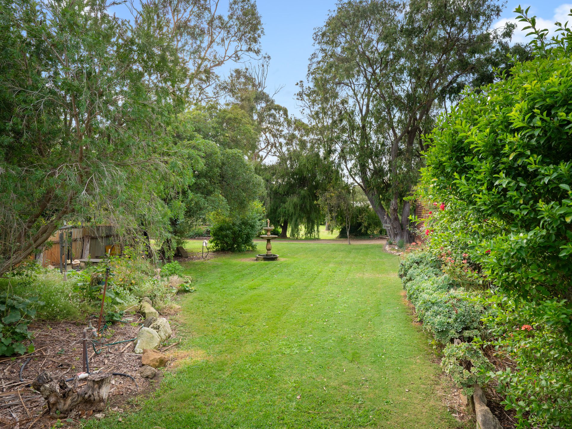 6 Ireland Street, Millicent