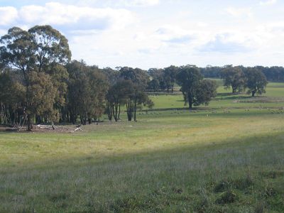 LOT 6 McLENNAN ROAD, Heathcote
