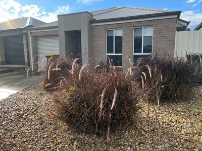 3 Karen Court, Morphett Vale