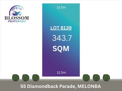 55  Diamoond Parade , Melonba