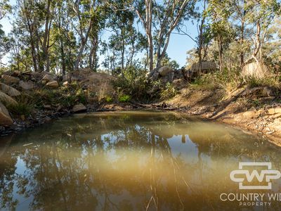 239 Geyers Road, Tenterfield