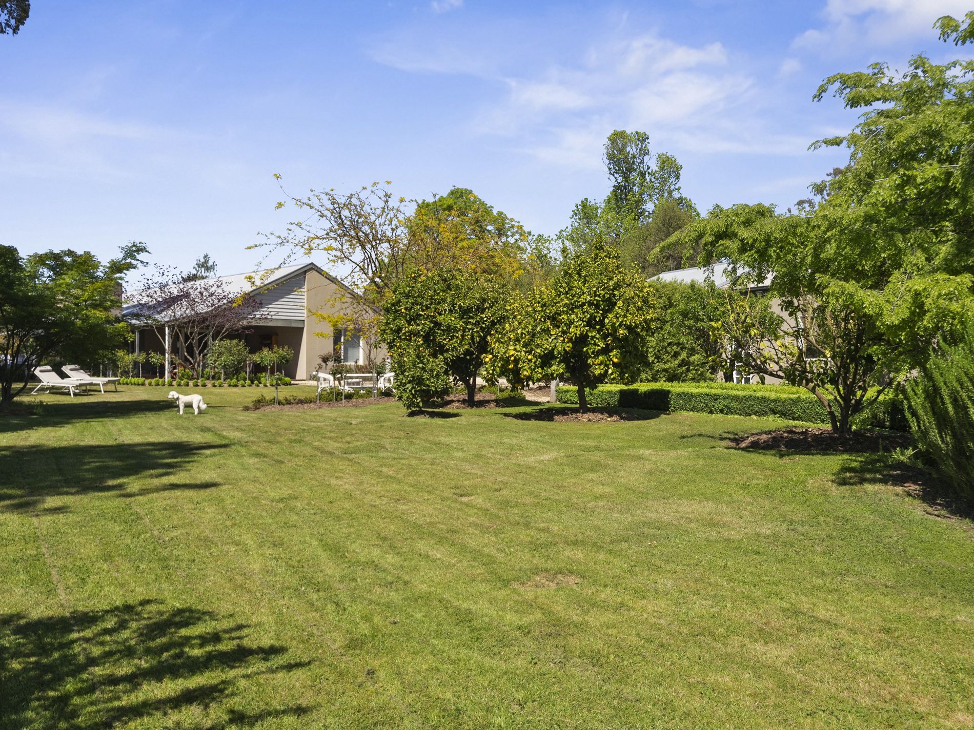 9 Logan Street, Mansfield