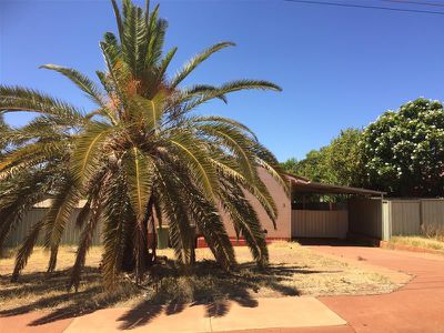 3 Windilga Street, Newman