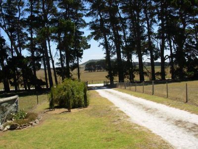 1-100 Cnr Ellis & Laslett Roads, Mount Schank, Mount Gambier