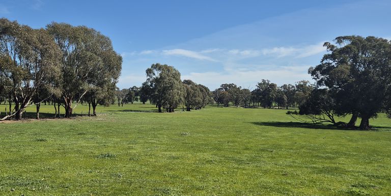 Lot 1  10 Dunnings Road, Balmattum