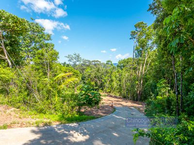 16A Azalea Street, Mullumbimby