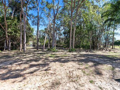 59 Carrick Way, Wondunna