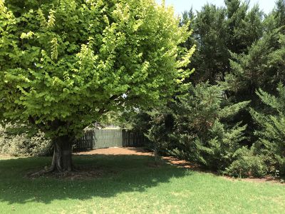 32 Jamieson Avenue, Barham