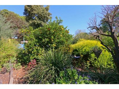 14 Seventh Road, Armadale