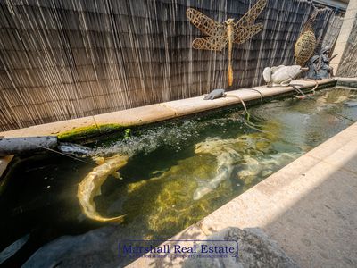 8 Newgain Cres, Carramar