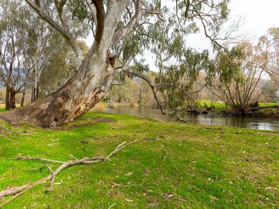 39 Kiewa East Road, Kiewa