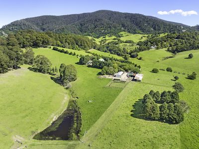 182 Punkalla Tilba Road, Central Tilba