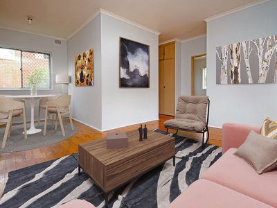 1 / 12 McCourt Street, Wiley Park