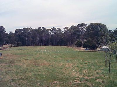109 Deepfields Road, Catherine Field