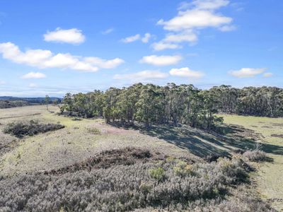 Lot 193 / 443 Back Creek Road, Mongarlowe