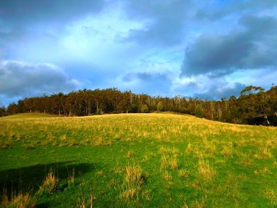 30 Acres Off Abbots Road, Nicholls Rivulet